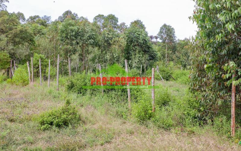 Prime And Affordable 50 By 100sq Ft Plot For Sale In Kikuyu Nachu