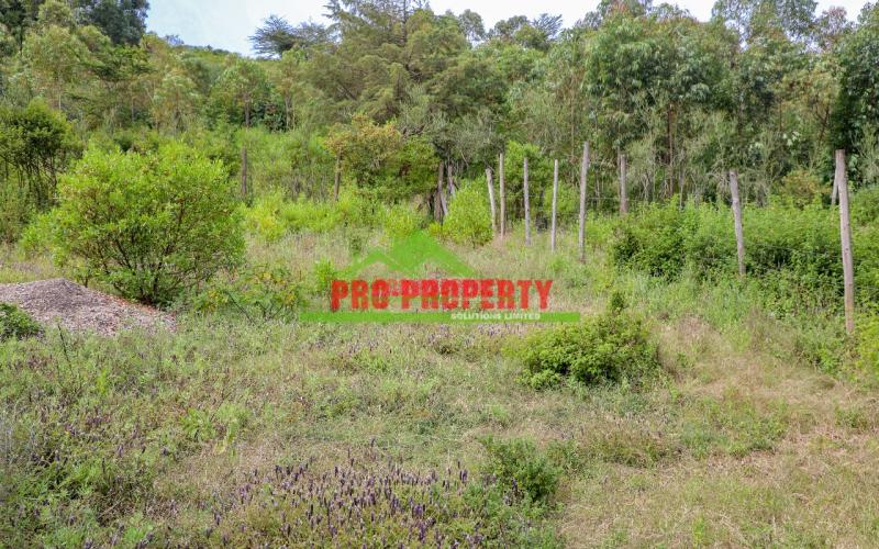 Prime And Affordable 50 By 100sq Ft Plot For Sale In Kikuyu Nachu