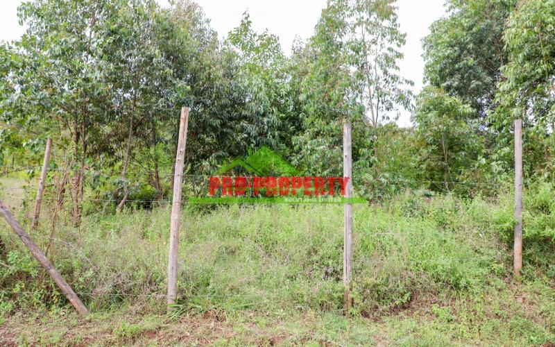 Prime And Affordable 50 By 100sq Ft Plot For Sale In Kikuyu Nachu