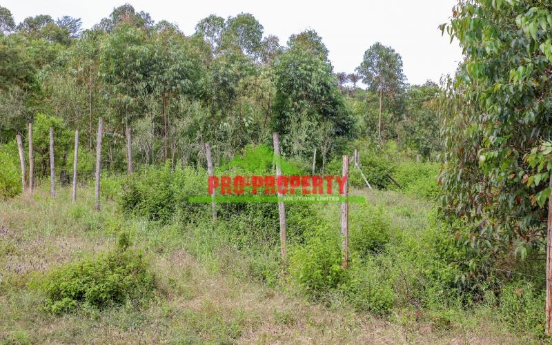 Prime And Affordable 50 By 100sq Ft Plot For Sale In Kikuyu Nachu