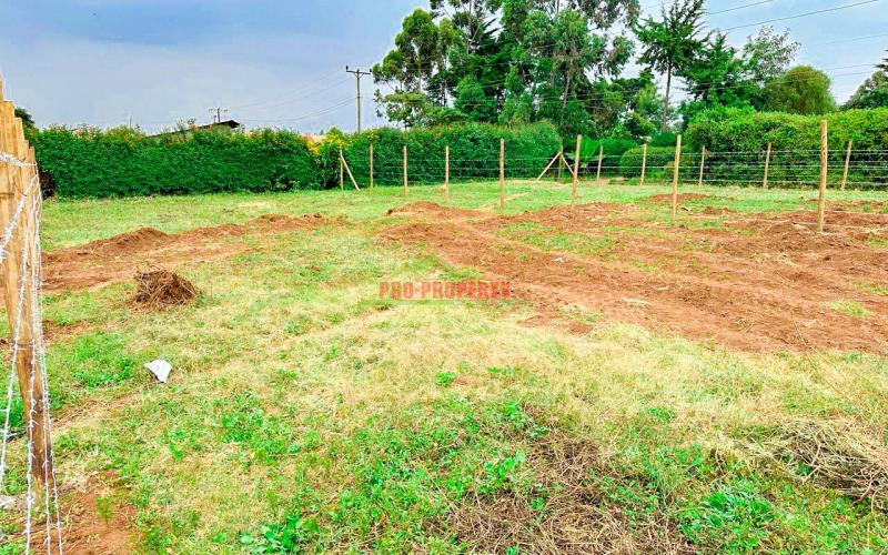 Prime 50 By 100 Sq Ft Plots In Thigio Kikuyu( Opposite Pcea Thigio)