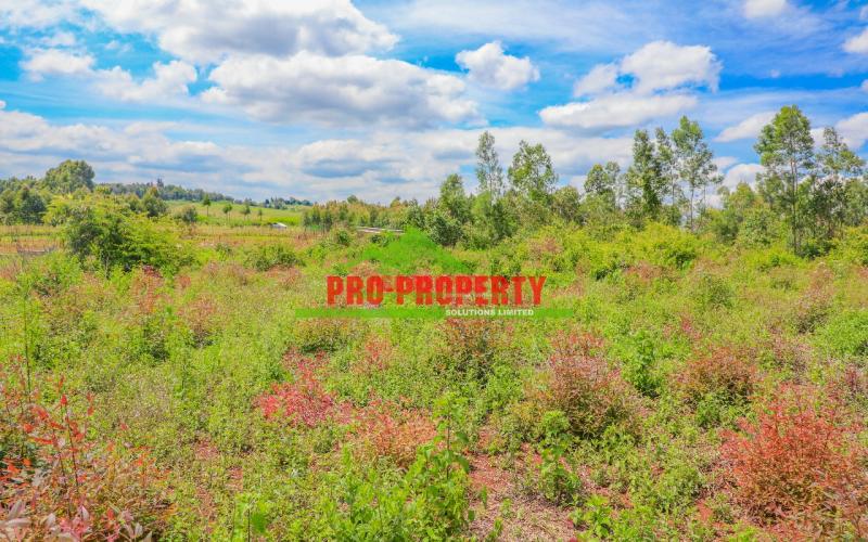Prime 50 By 100fts Residential Plots For Sale In Kikuyu Ondiri