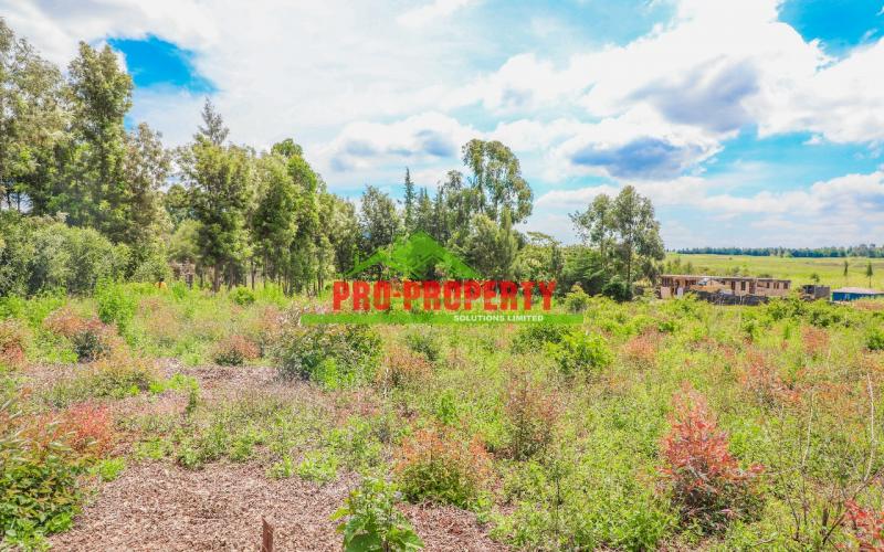 Prime 50 By 100fts Residential Plots For Sale In Kikuyu Ondiri