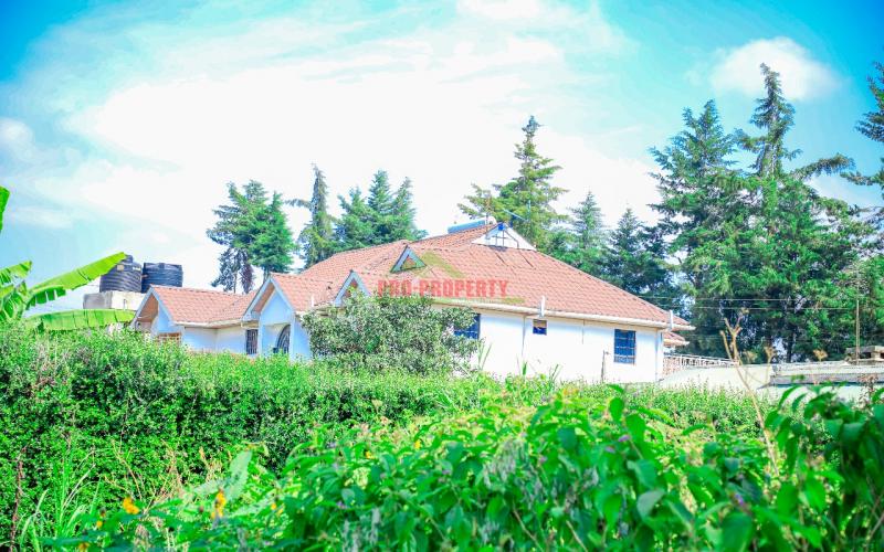 Prime 50 By 100 Sq Ft Plots For Sale In Sigona