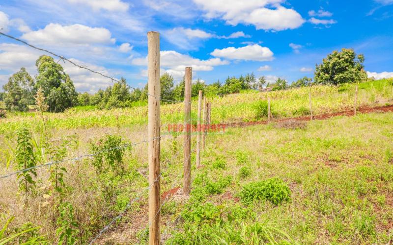 Prime Affordable 50 By 100 Sq Ft Plots For Sale In Ngamba Thigio