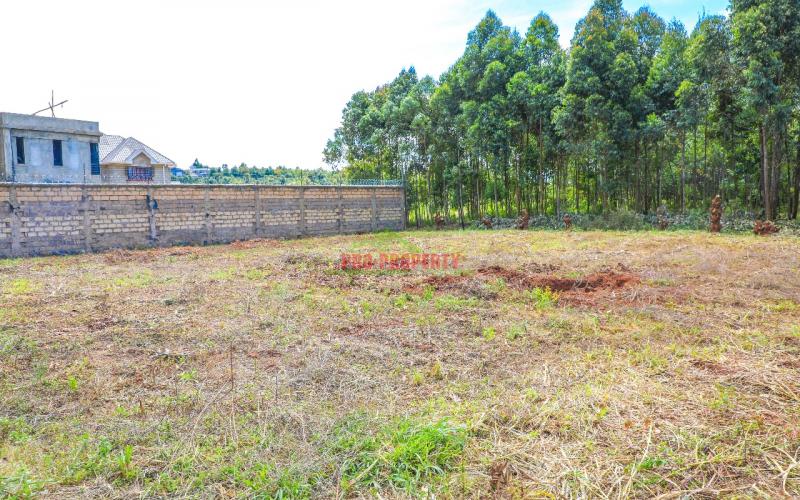 Prime 50 By 100 Sq Ft Plots For Sale In Kikuyu Lusingetti (rosegate)