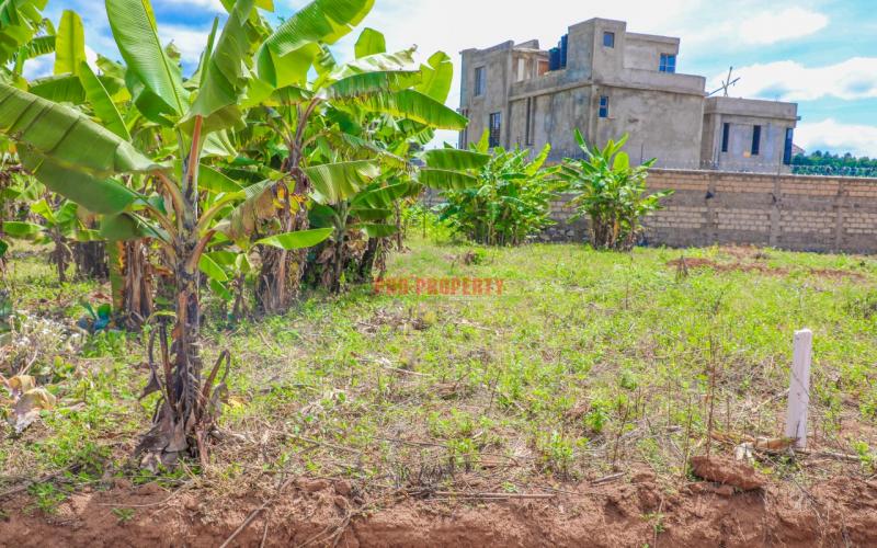 Prime 50 By 100 Sq Ft Plots For Sale In Kikuyu Lusingetti (rosegate)