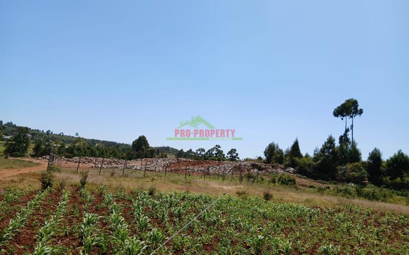 Prime Affordable 50 By 100 Fts  In Kikuyu Lusigetti