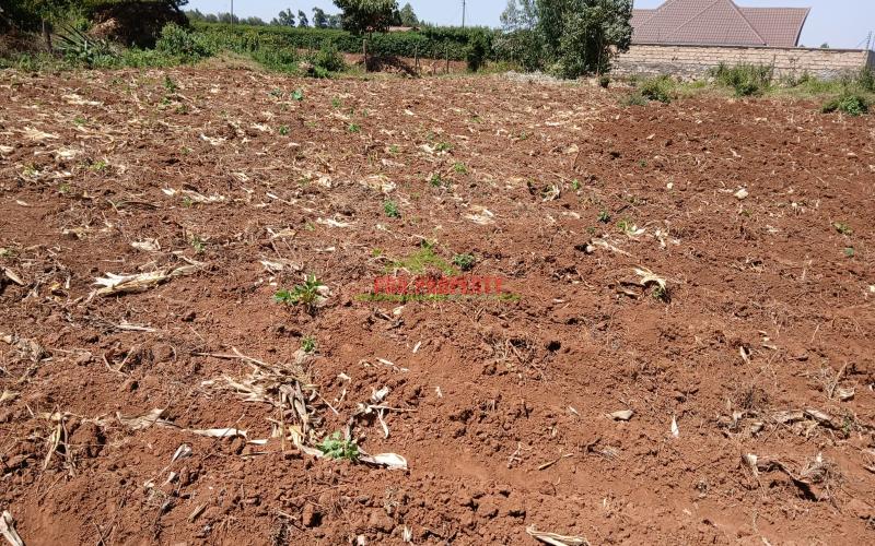 Prime Affordable 50 By 100 Fts  In Kikuyu Lusigetti