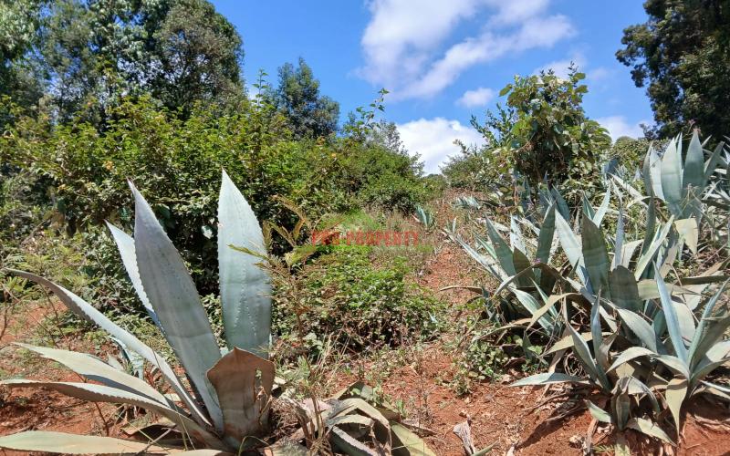 Prime Residential 50 X 100 Fts Plot For Sale In Kikuyu Mai-ii-ihii