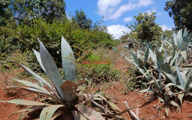 Prime Residential 50 X 100 Fts Plot For Sale In Kikuyu Mai-ii-ihii