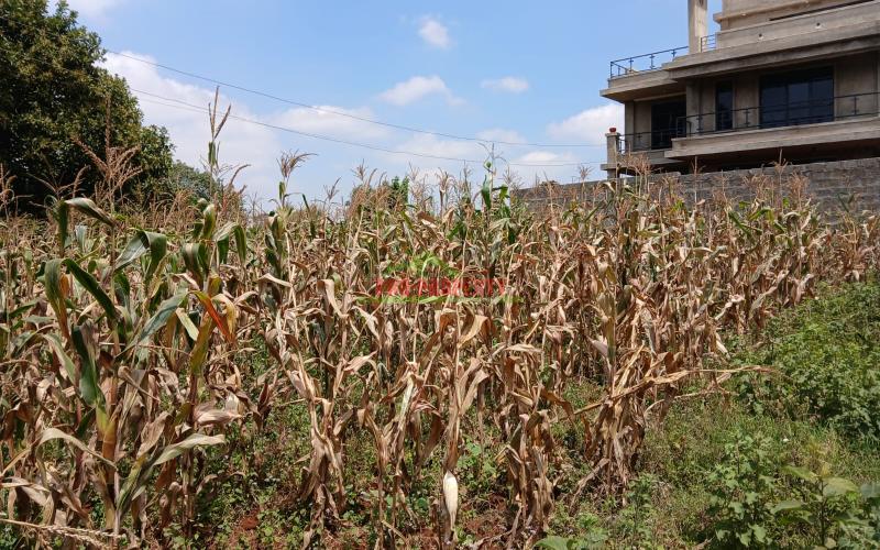 Prime Residential 40 By 80 Fts Plots  For Sale In Kikuyu Gikambura