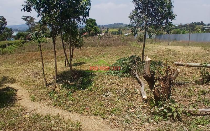 Prime 50 By 100 Ft Plot For Sale  In Kikuyu Kamangu