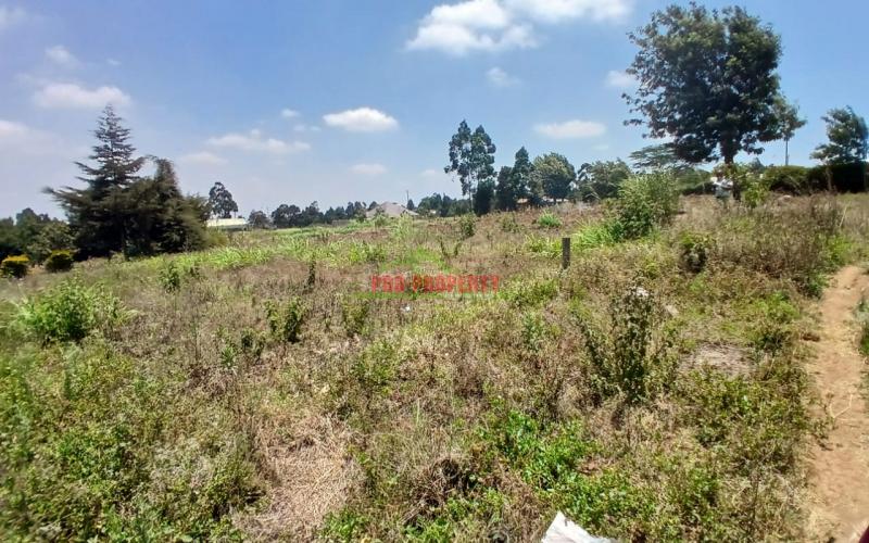 Prime 50 By 100 Ft Plot For Sale  In Kikuyu Kamangu
