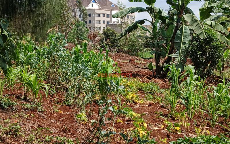 Prime Commercial Plot For Sale In Kikuyu Gitaru