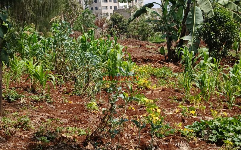 Prime Commercial Plot For Sale In Kikuyu Gitaru