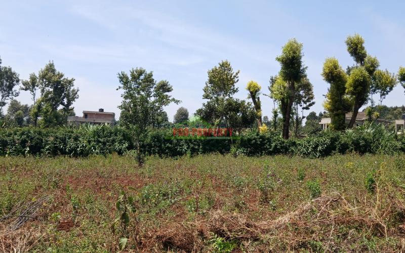 Ready To Build Plots For Sale With Ready Freehold Title Deeds In Kikuyu