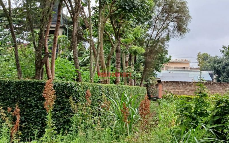 Discover Prime Commercial Properties For Sale In Kikuyu