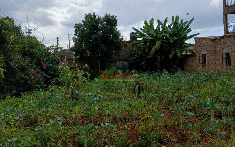 Prime Plot For Sale In Thogoto Madukani.
