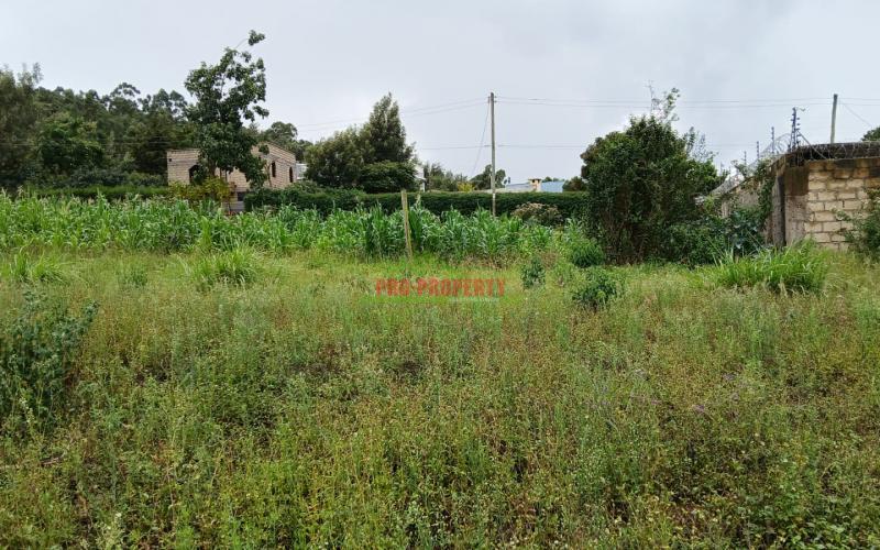 Prime 50 X 100 Fts Residential Plots For Sale In Lusingetti, Kikuyu