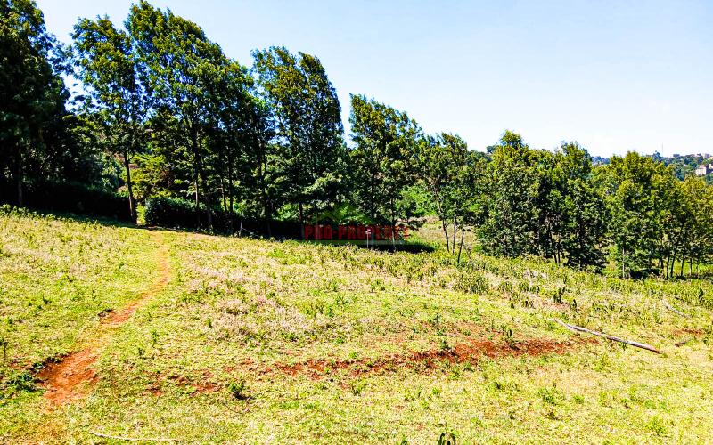 Prime 50 X 100 Fts Plots For Sale In Ondiri, Kikuyu – Near Leillani Gardens