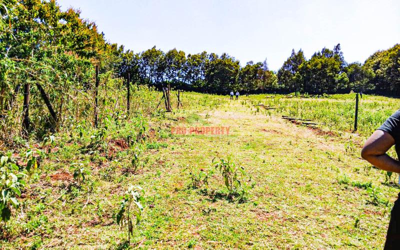 Prime 50 X 100 Fts Plots For Sale In Ondiri, Kikuyu – Near Leillani Gardens