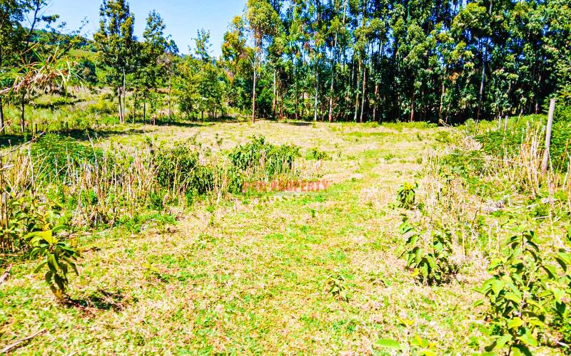 Prime 50 X 100 Fts Plots For Sale In Ondiri, Kikuyu – Near Leillani Gardens
