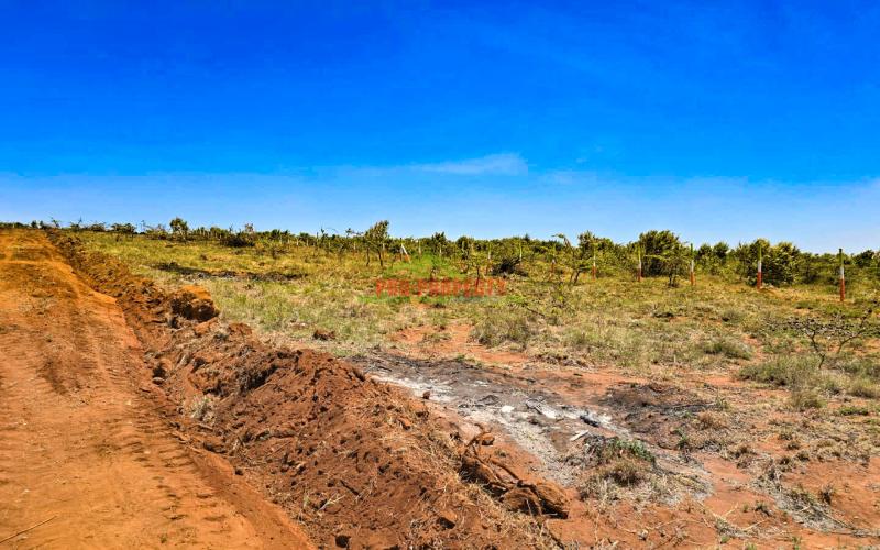 Prime Residential 50 By 100fts Plot For Sale In Kikuyu, Nachu-mikuyuini