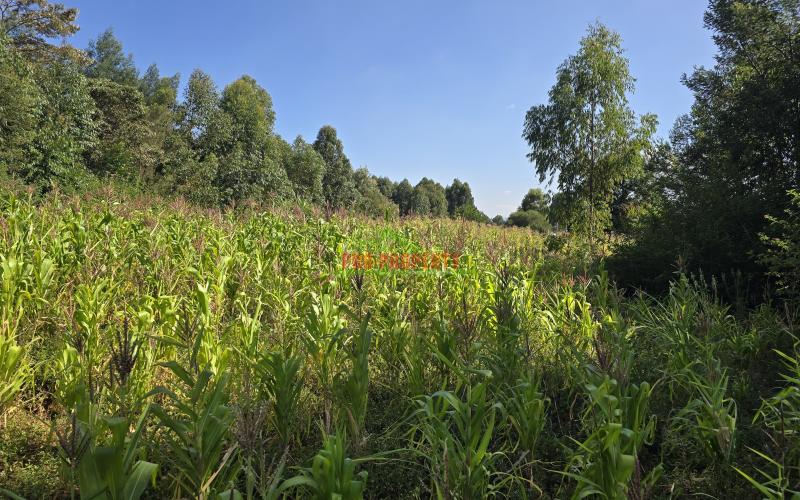 READY TO BUILD IN A GATED COMMUNITY CONCEPT PLOTS FOR SALE IN ONDIRI KIKUYU-100 by 100ft with a ready title deed