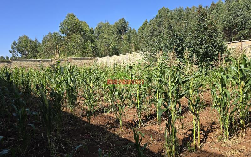 READY TO BUILD IN A GATED COMMUNITY CONCEPT PLOTS FOR SALE IN ONDIRI KIKUYU-with four perimeter walls