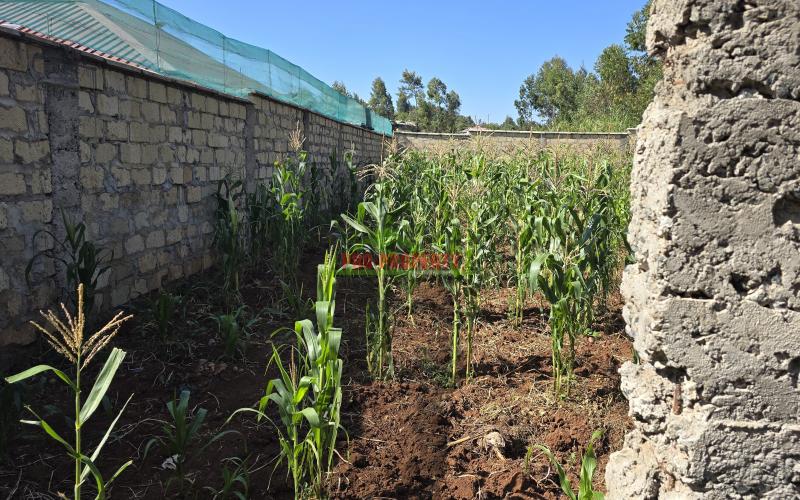 Prime Residential Plot For Sale With A Complete Perimeter Wall