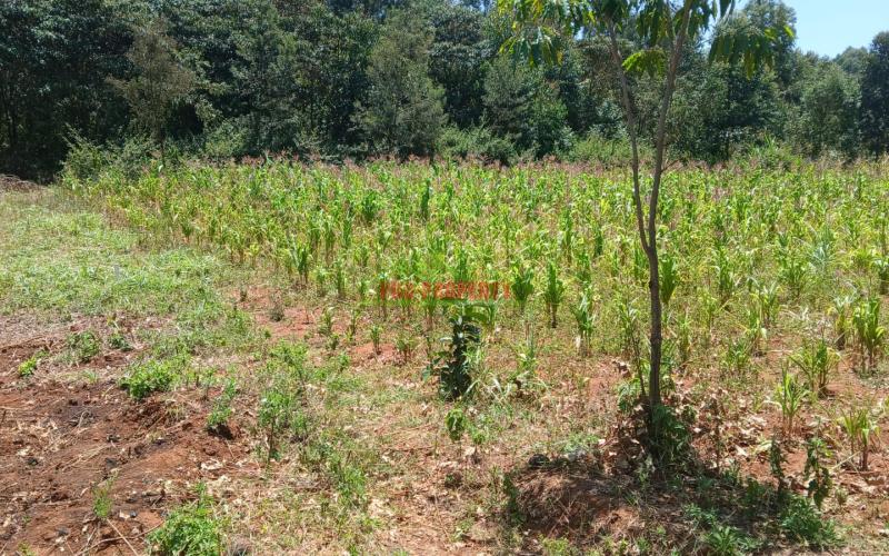 Prime 50 By 100ft Plot For Sale In Kikuyu,ondiri
