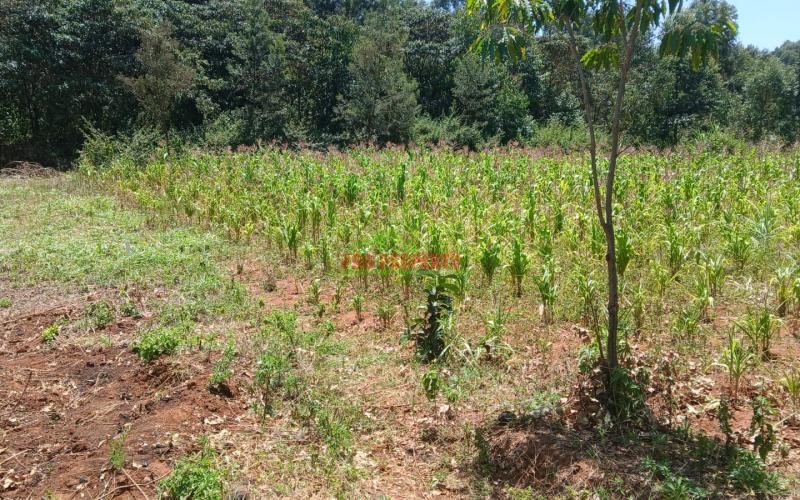 Prime 100 By 100 Plot For Sale In Kikuyu,ondiri