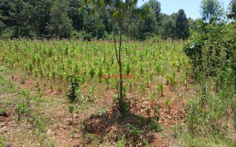 Prime 100 By 100 Plot For Sale In Kikuyu,ondiri