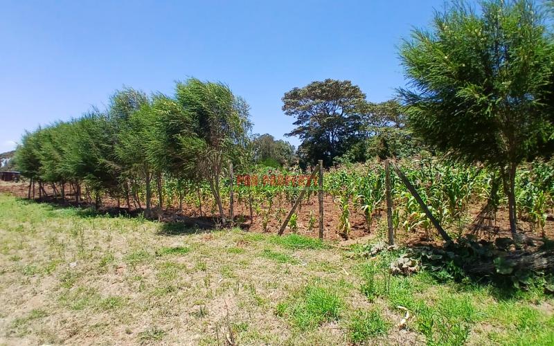 Prime 100 By 100ft Residential Plot For Sale In Kikuyu,kamangu Near Pleasant Academy