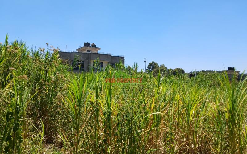Prime 100 By 100ft Residential Plot For Sale In Kikuyu,lusigetti -near  Lusigetti Hosptital