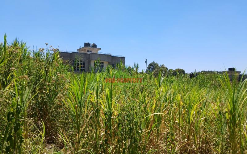 Prime 100 by 100ft residential plot for sale in Kikuyu,Lusigetti -Near  lusigetti hosptital