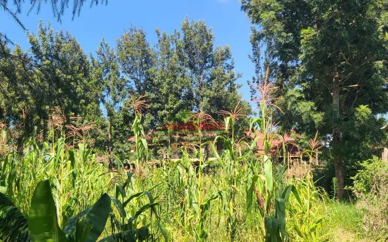 Residential Plot For Sale In Ondiri