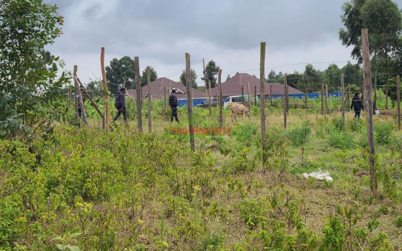 Residential Plot For Sale In Lusingetti