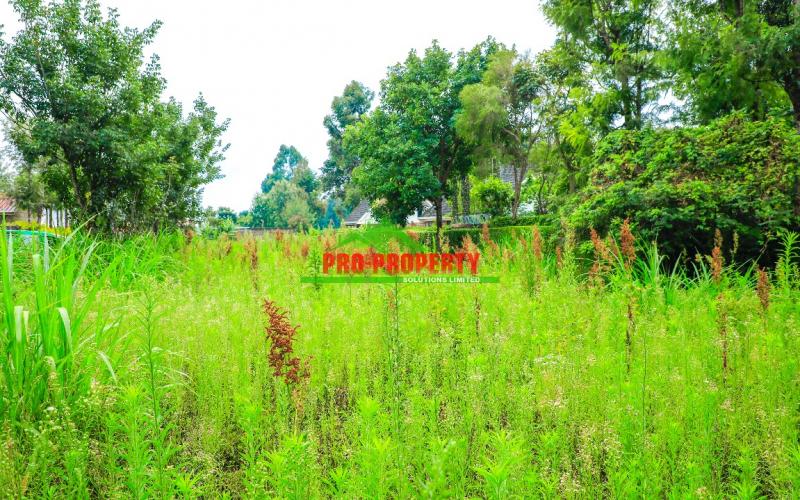 Prime 50 By 100ft Commercial Plot For Sale In Kikuyu,thogoto