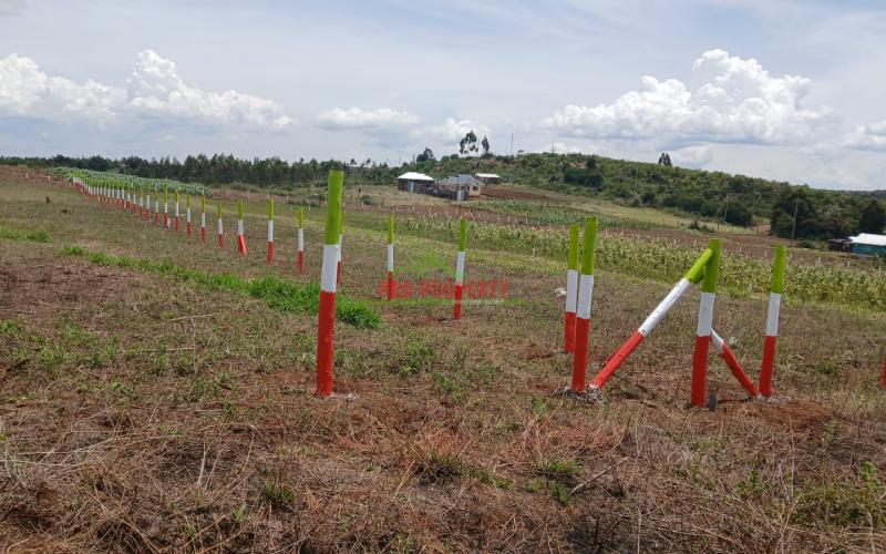 Prime 50 By 100ft Plots For Sale In A Gated Community Concept In Kikuyu,ndiguini Area