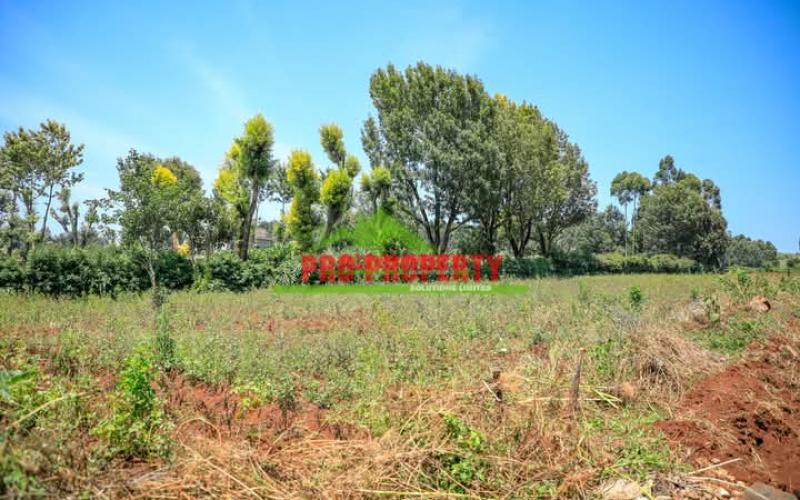 Residential Serviced Plots For Sale I Kikuyu-ondiri.