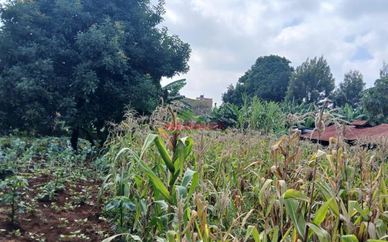 Commercial Plots For Sale Ready For Investments