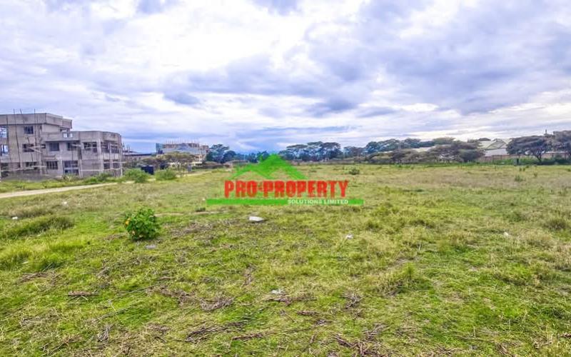 Gated Community Plots For Sale In Naivasha -moi South Lake Road.