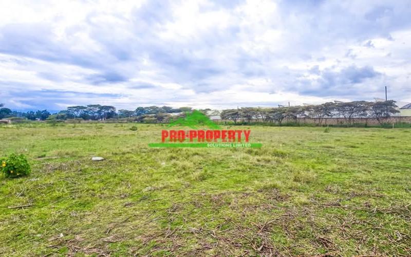 Gated Community Plots For Sale In Naivasha -moi South Lake Road.