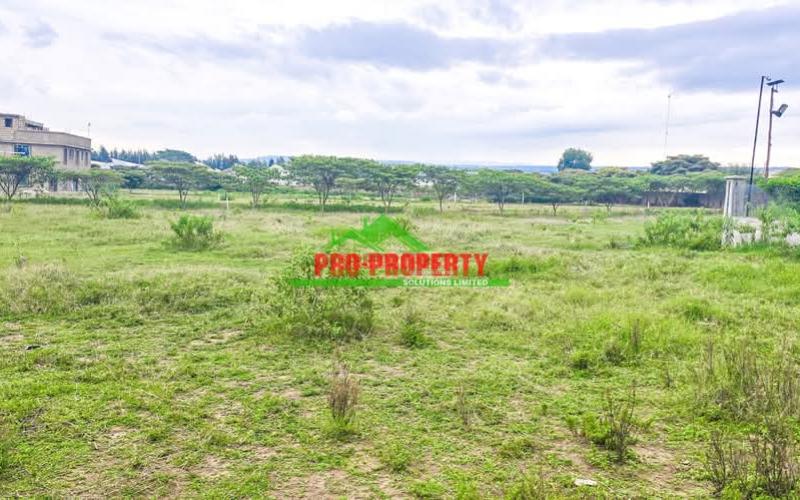 Gated Community Plots For Sale In Naivasha -moi South Lake Road.