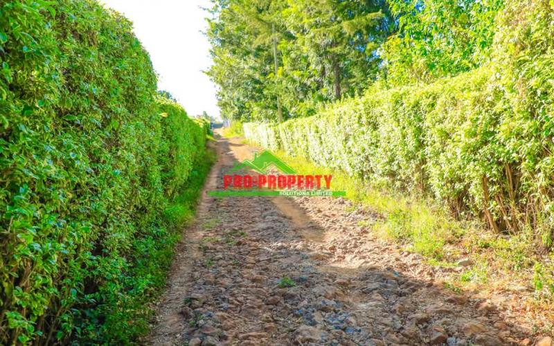 Prime Residential Plot For Sale In Kikuyu -lusigetti