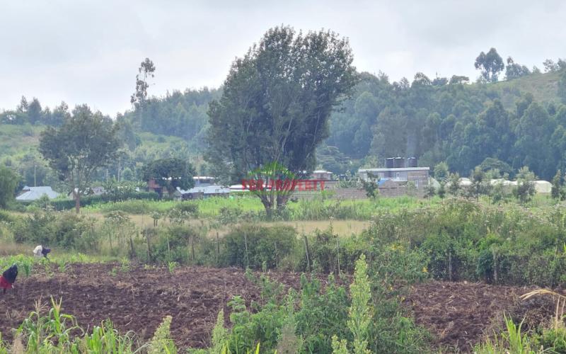 Prime Residential Plot For Sale In Lusingeti (kinyua Close)