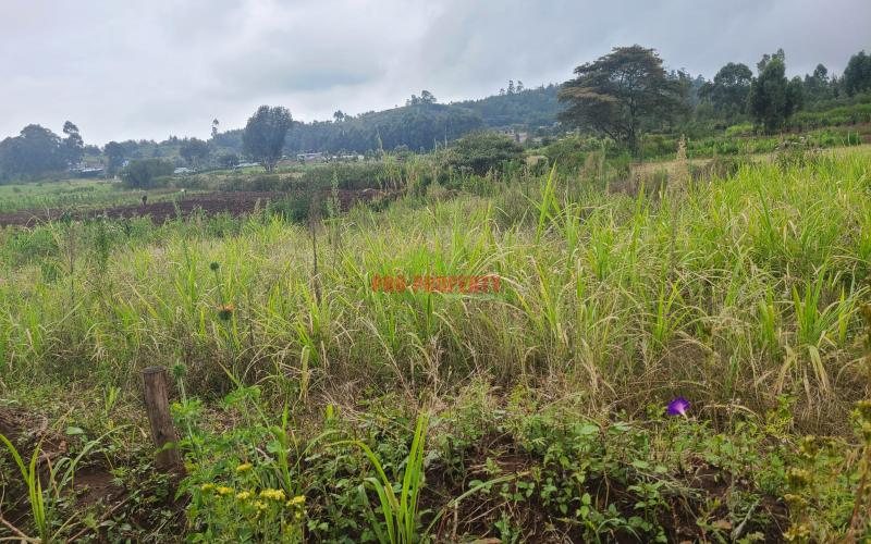 Prime Residential Plot For Sale In Lusingeti (kinyua Close)