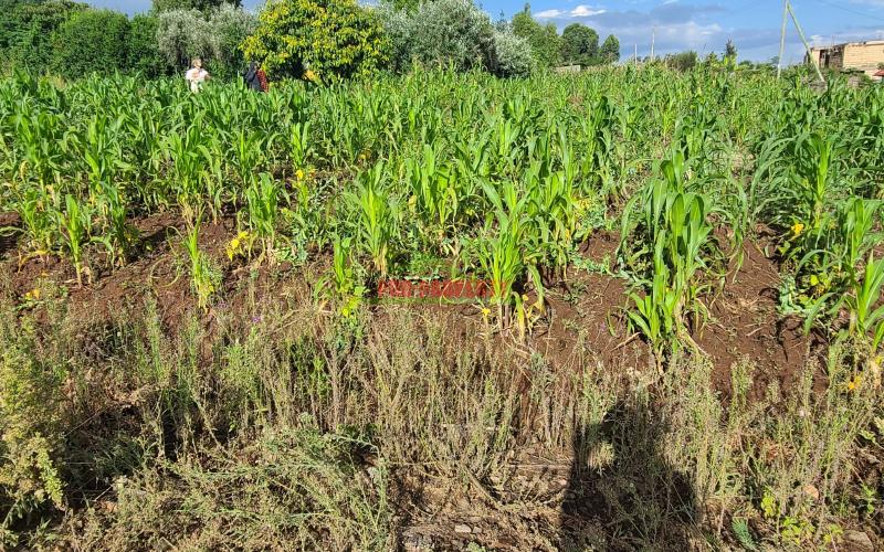 Residential Plot For Sale In Kamangu (green View)